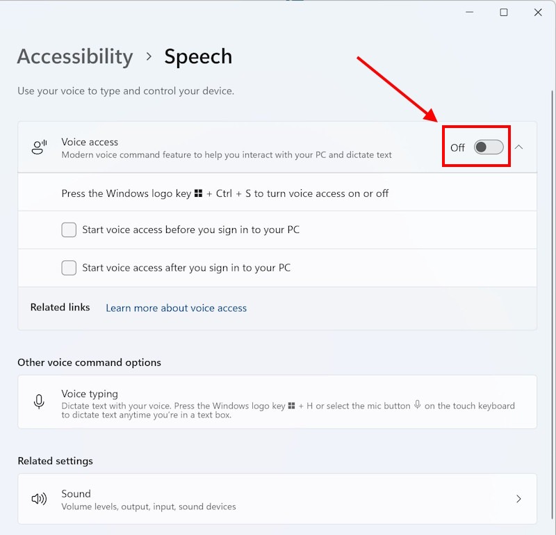 Click the toggle switch for Voice access